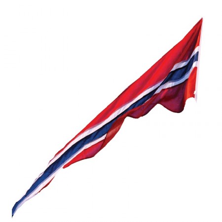 Vimpel 200cm
